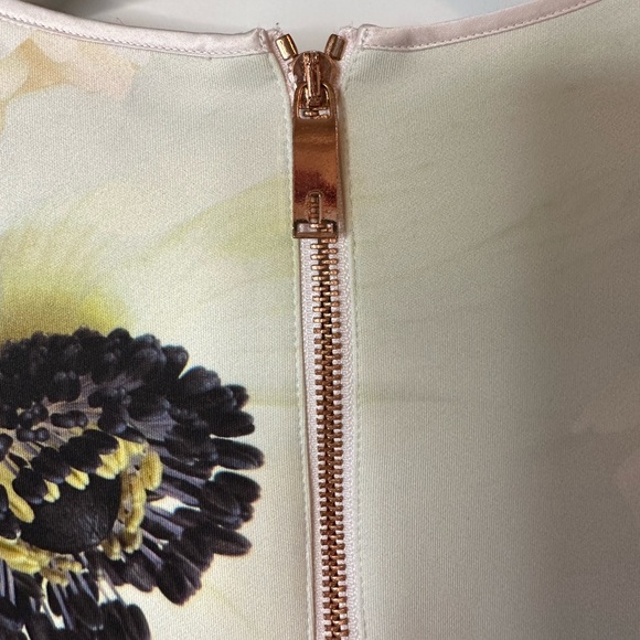 Ted Baker Petala Floral Printed Skater Dress Size 1/US4 - Picture 6 of 10